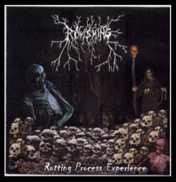 Rotting Process Experience